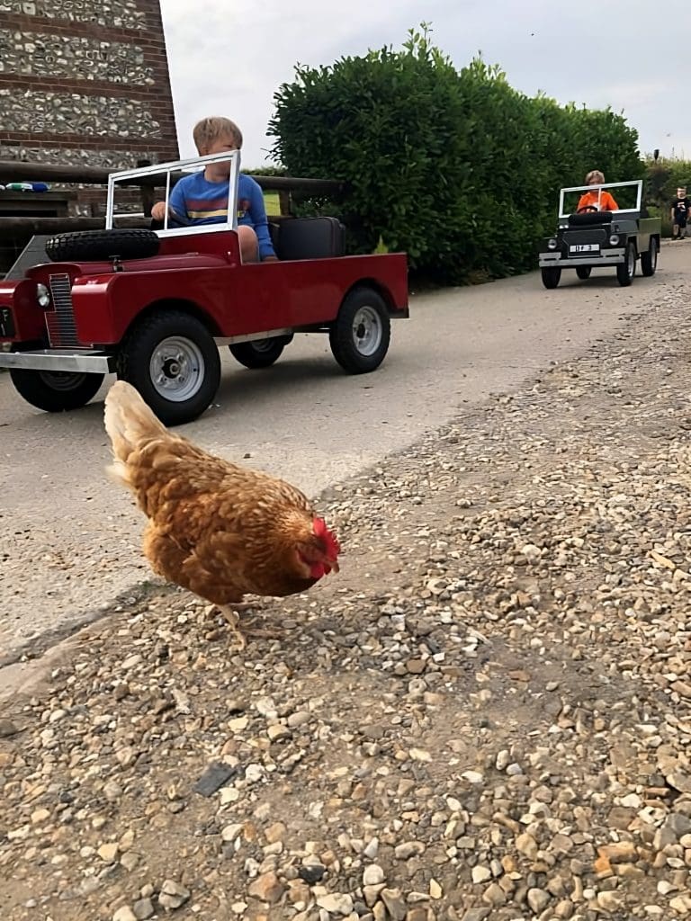 Mini Landies driving with chicken